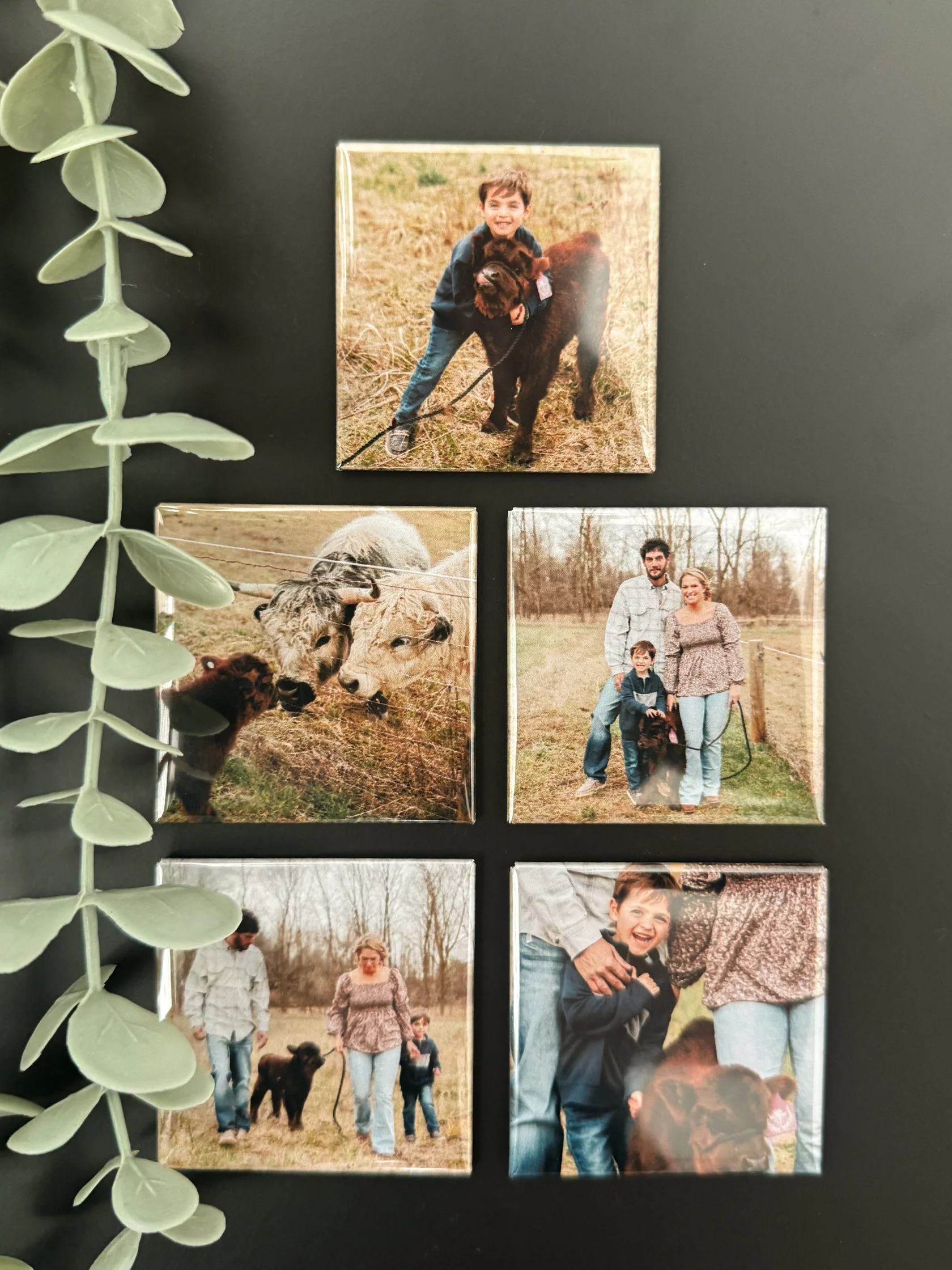 Original Photo Magnets